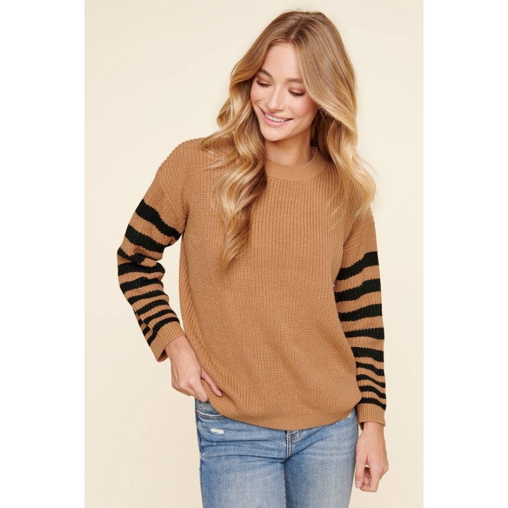 Allspice Stripe Sleeve Sweater